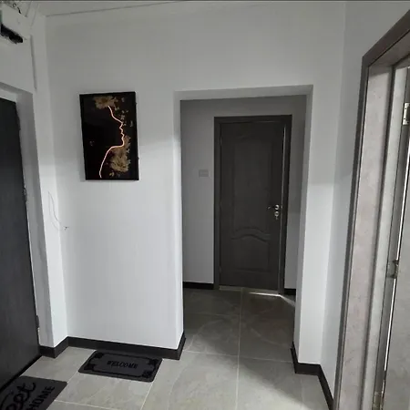 Zen Metrou Nicolae Grigorescu Apartment