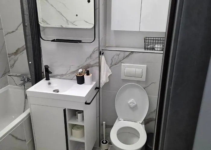 Zen Metrou Nicolae Grigorescu * Boekarest